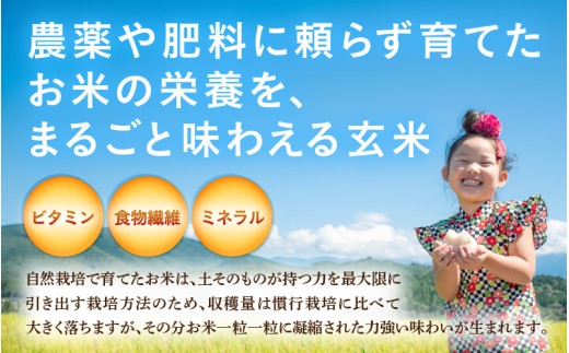 【先行予約】【令和8年産】伊与衛門農園の自然栽培米 コシヒカリ 玄米5kg×2袋（計10kg）＜温度と湿度を常時管理し新鮮米を出荷！＞ / 米 自然の力 高品質 鮮度抜群 ブランド米 福井県 あわら市