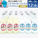 【ふるさと納税】《定期便6ヶ月》ニテコサイダーミックス 300ml×24本セット 2種（ニテコサイダー12本、りんごサイダー12本）あきた美郷づくり