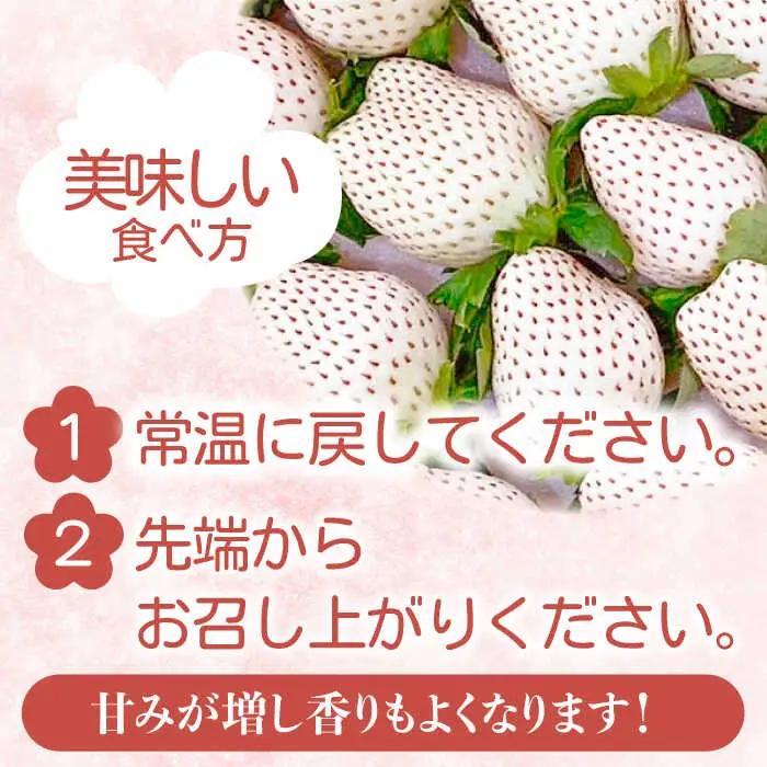 【2027年1月以降順次発送】白い宝石（贈答用）約450g / いちご / 佐賀県 / 手島農園 [41ABAB005]