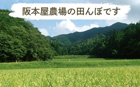 【令和7年産 新米！！2025年9月10日以降順次発送】　丹波篠山産特Aランク越光（５kｇ×３袋） 白米 100％単一原料米 産地直送米 贈答 おいしいコシヒカリ お米 精米 コシヒカリ ブランドコシ