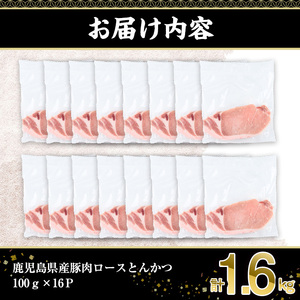 鹿児島県産豚肉ロースとんかつ(計1.6kg・100g×16P) 豚肉 ロース とんかつ【株式会社羽根】A722