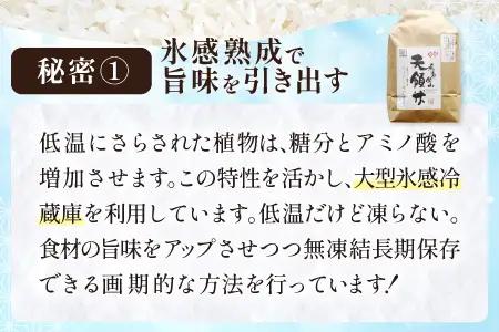 【定期便】石見銀山天領米(5kg×5回お届け)【定期便 定期 5回 コシヒカリ 精米 5kg×5回 合計25kg 島根県産 大田市産 米 氷感熟成 エコロジー米 天領米】