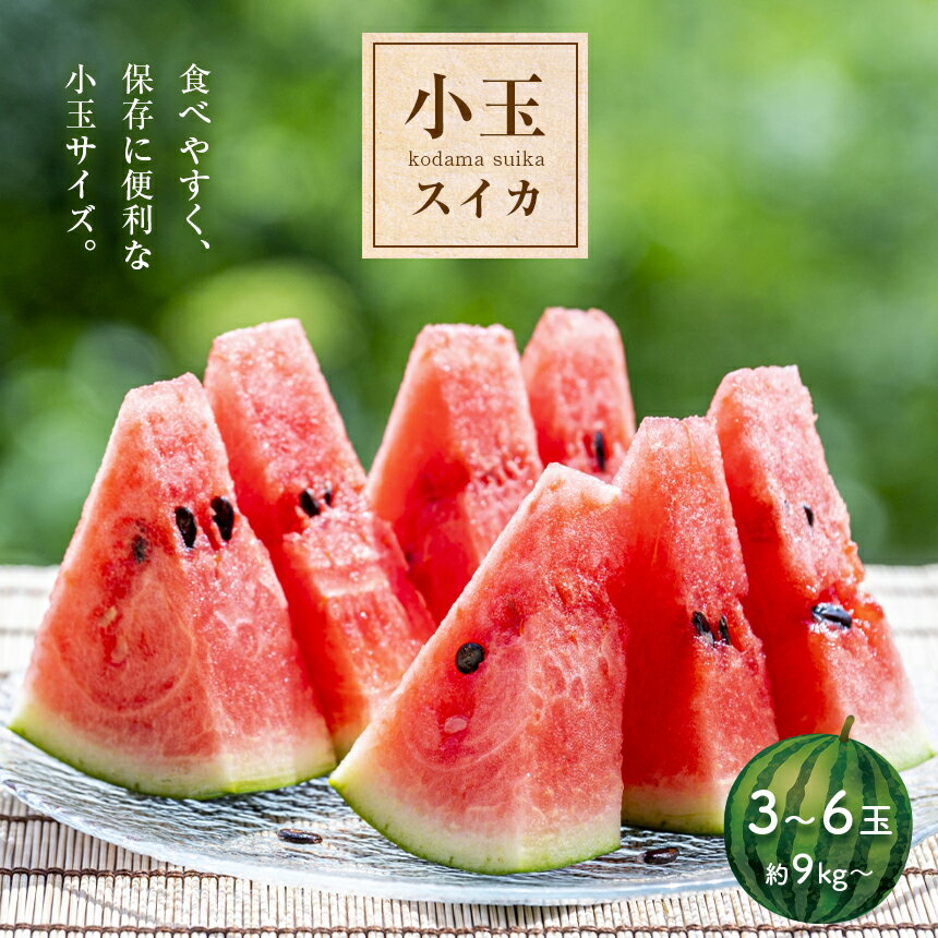 【ふるさと納税】 小玉 スイカ 3〜6玉 『かめまる食堂』 先行予約 赤色 熊本県 すいか 果物 フルーツ 西瓜 くまもと産 甘い | 玉名 熊本