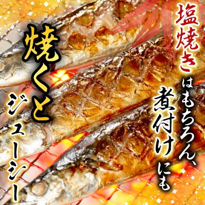 ふるさと納税 根室市 冷凍生さんま5尾×5P、ほたて貝柱200g×2P C-70038 |  | 01