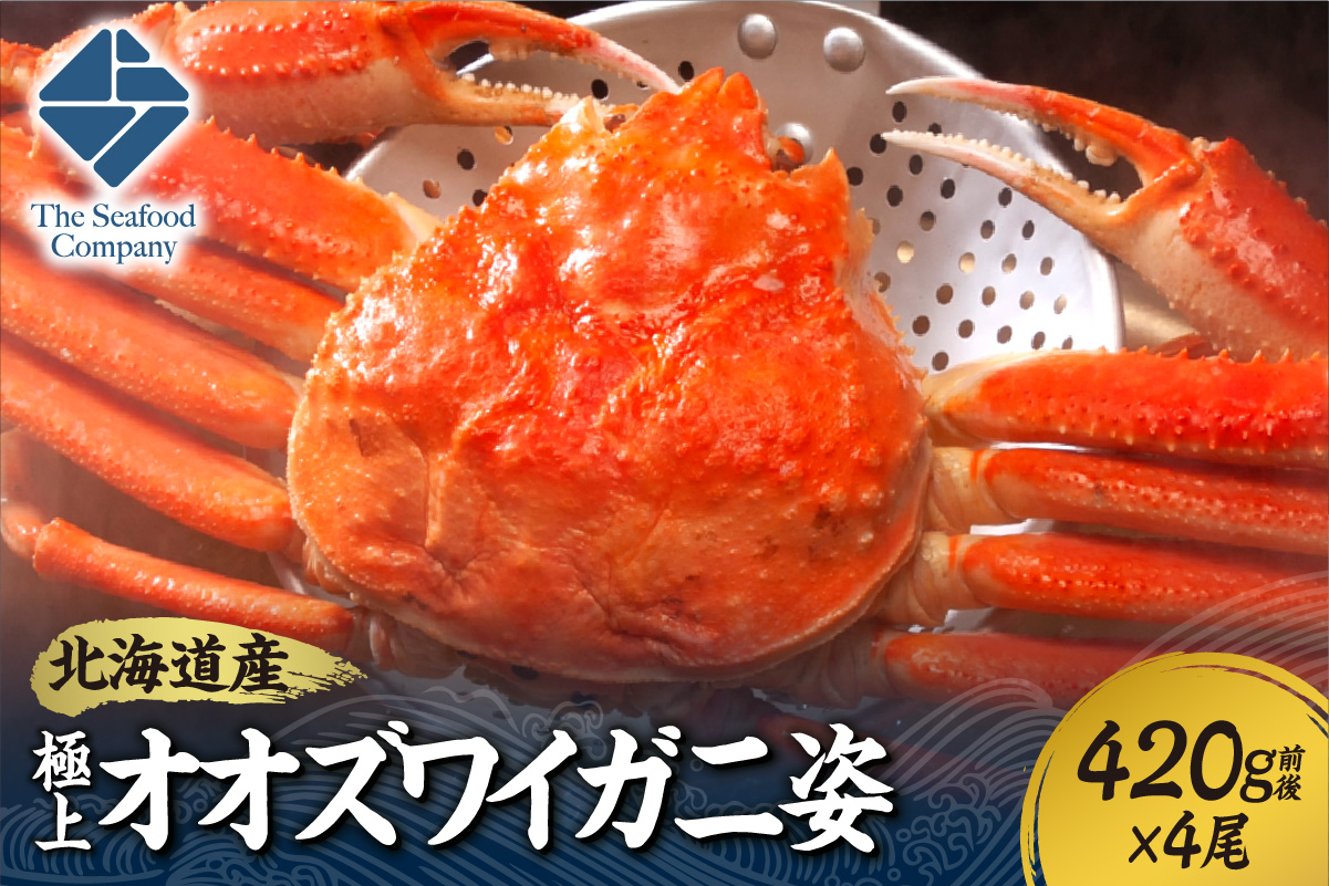 北海道産極上オオズワイガニ姿　420g前後×4尾セット
