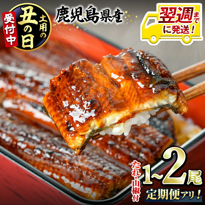 東串良町のうなぎ蒲焼(無頭) 2尾(320g以上・タレ、山椒付)
