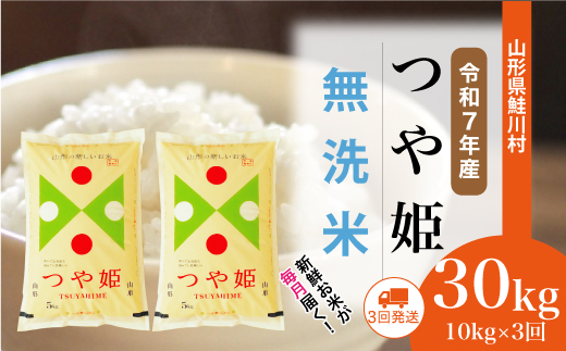 ＜令和7年産米＞ 山形県産 特別栽培米 つや姫 【無洗米】30kg定期便 (10kg×3回)　配送時期指定できます！
