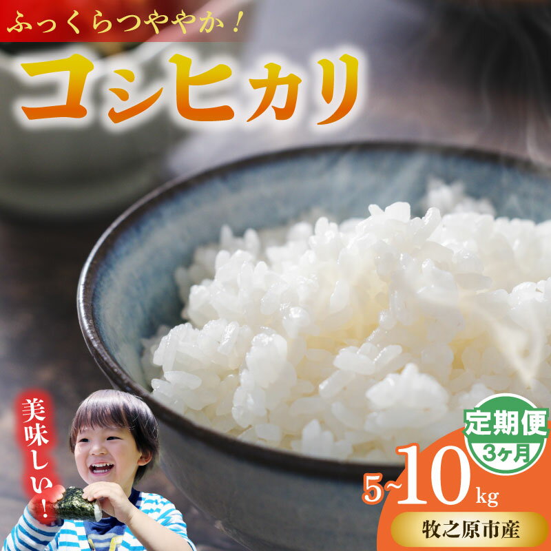 【ふるさと納税】 コシヒカリ 無洗米 5kg 10kg 5kg×3ヶ月 定期便 選べる 容量 お米 米 白米 こしひかり おこめ こめ 精米 ご飯 ごはん 国産 日用品 日常 ギフト 贈り物 お弁当 おにぎり 食品 和惣菜 美味しい 新鮮 農家直送 産地直送 山本耕業 こめ香 静岡県 牧之原市