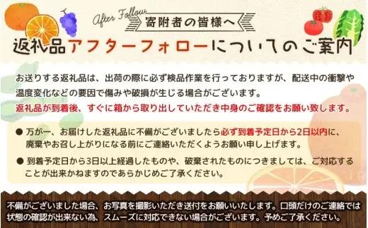 せとか 橋本農園のハウスせとか 5kg【mht001A】