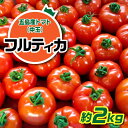 【ふるさと納税】【食卓にトマトで彩りと笑顔を！】新鮮 トマト フルティカ 中玉 計2kg 国産 とまと 完熟 肉厚 常温 五島市 / 野口とまと [PCJ004]