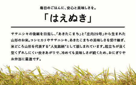 ＜先行予約＞ 新米 はえぬき 精米 5kg 11月中旬〜11月下旬発送 配送時期選べる 令和7年産 2025年産 ※沖縄・離島への配送不可 tf-hasxb5-11s