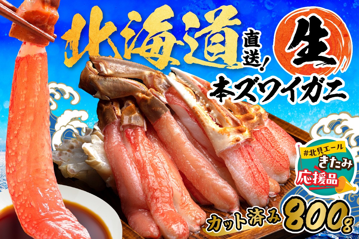 【北見応援返礼品】北見市加工 生冷本ズワイガニセット 800g 昆布入 ( 海鮮 魚介類 魚介 蟹 かに カニ セット 鍋 カニ鍋 カニ爪 ズワイガニ かにしゃぶ カット済 贈答 ギフト 熨斗 のし ふるさと納税 )【094-0080-yell】
