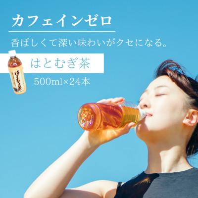 ふるさと納税 矢吹町 【はとむぎ茶】白河地方特産ノンカフェイン(ペットボトル500ml×24本)×1箱