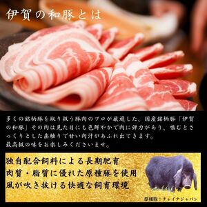 豚肉〈訳あり・小分け〉伊賀の和豚 豚肉 切り落とし（250g×12袋 計3kg）豚肉 BW105
