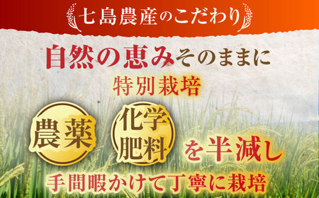 【全5回定期便】令和7年度産 ななしま家 コシヒカリ 5kg / 佐賀県 / 有限会社七島農産[41AHAC007]