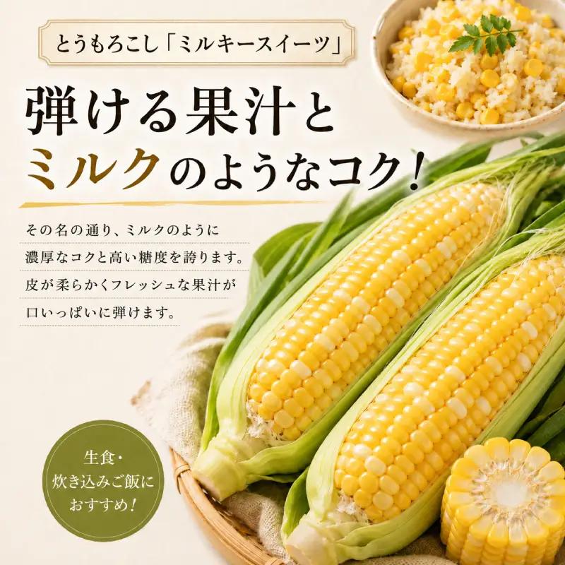 小笠原農園の有機とうもろこし「ミルキースイーツ」24本【北海道十勝幕別】《2026年8月出荷開始先行予約》【 スイートコーン コーン とうもろこし とうきび 黄色 野菜 夏 北海道 幕別町 】 