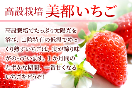A-330 【農家直送！】完熟いちご（350g×3パック）・いちごジャムセット（150g）