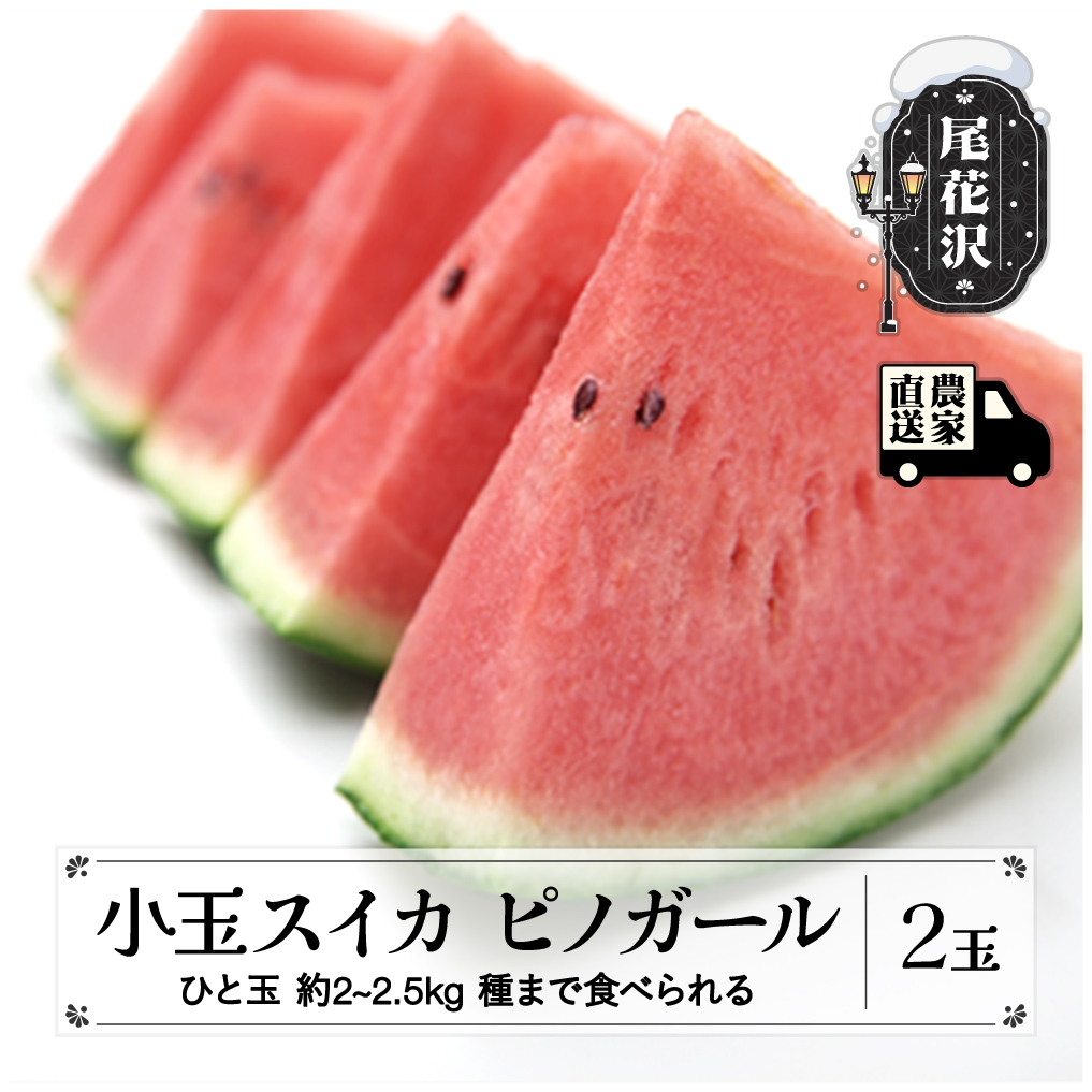 タネまで食べられる小玉スイカ  ピノガール (約2~2.5kg)×2玉 7月中旬～8月上旬頃発送 尾花沢産 スイカ すいか 西瓜 令和7年産 2025年産 観光物産 kb-supgx2