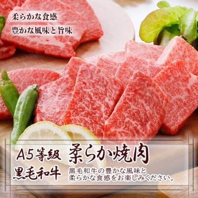 黒毛和牛焼肉と黒豚ハンバーグ A8-47【配送不可地域：離島】【1487973】