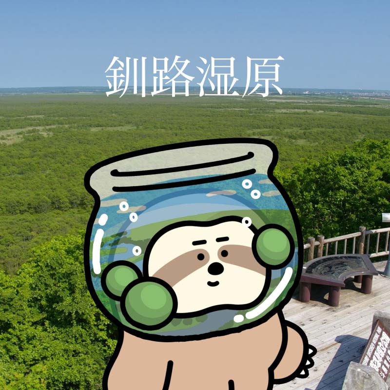【数量限定】着せ替えご当地NFT < sloth × 釧路市> 全種類 (５種類)パック NFTアート ご当地 着せ替え 限定 キャラクター 限定 釧路市 阿寒 まりも F4F-3776