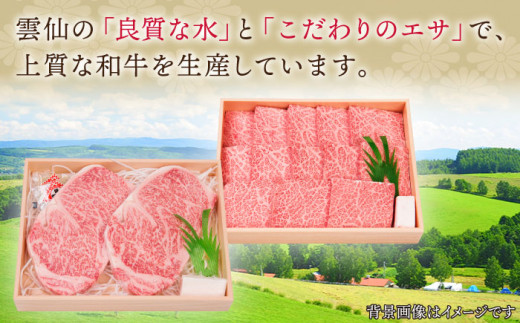 【全12回定期便】長崎和牛 ステーキ セット （特上ロース・サーロイン）  総計13.2kg （1.1kg/回）【株式会社 OGAWA】 [QBI020] 牛肉 サーロインステーキ バーベキュー 76