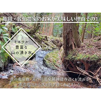ふるさと納税 亀岡市 【毎月定期便】農家直送!佐伯の里 源流米 京都丹波産コシヒカリ5kg全6回 |  | 02