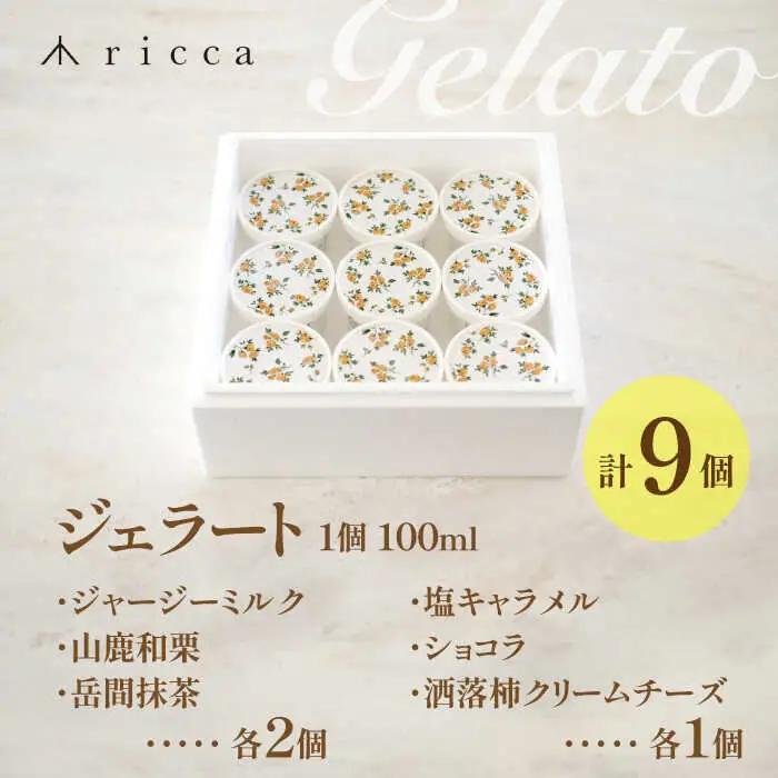 ジェラート9個セット アイス ジェラート ZAR002