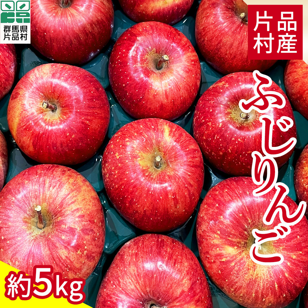 
            ☆数量限定☆　尾瀬の郷 片品村産　ふじりんご
          
