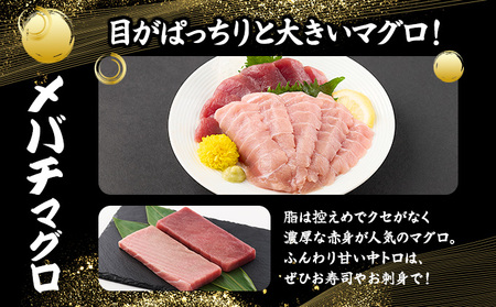 厳選メバチマグロ赤身、中トロ食べくらべ【誉丸】 _mh014
