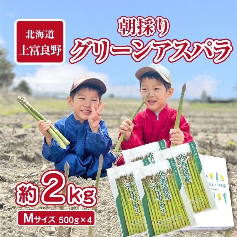【ふるさと納税】【2025年分先行予約】 アスパラ 専門農家 の 特選 グリーン アスパラ 2kg M アスパラガス 原農園 あすぱら 野菜 北海道 上富良野町 グリーンアスパラ 　お届け：2026年5月中旬～6月中旬まで