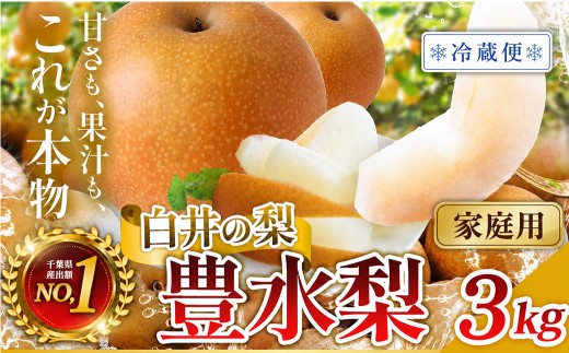 【冷蔵便・訳あり（ご家庭用）】豊水　3kg　5～10玉