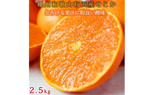 
            紀州有田産せとか約2.5kg　とろける食感！ジューシー柑橘【2026年2月上旬以降発送】【先行予約】【UT02】
          