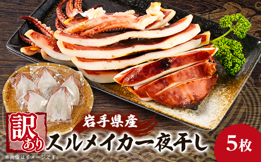 【訳あり】岩手県宮古市産スルメイカの一夜干し　5枚セット【配送不可地域：離島】