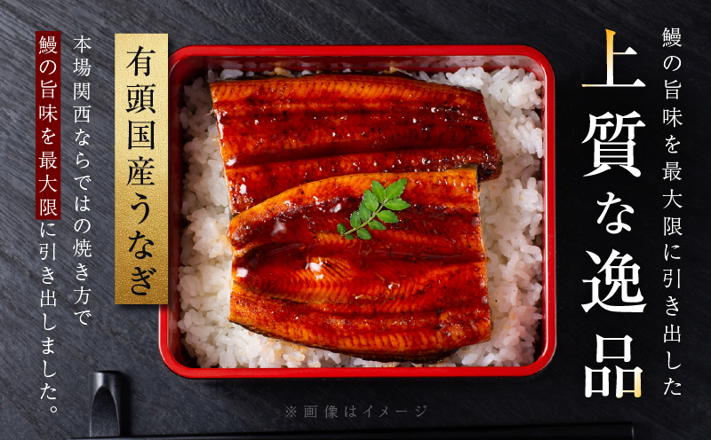 【ビッグサイズ】老舗五郎藤 国産 旨鰻 250g×1尾【関西風地焼き 特大 うなぎ ウナギ 蒲焼き 炭火 数量限定 有頭 北国からの贈り物 厳選】 099H3443