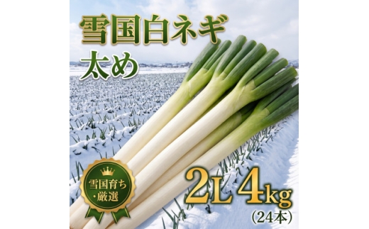 産地直送 山形県産 雪国ネギ 2Lサイズ 4kg【1778654】
