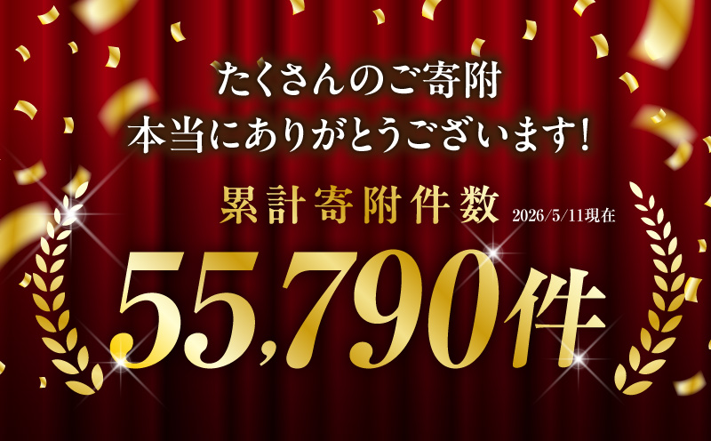 遊食豚彩 いちにぃさん そばつゆ仕立黒豚しゃぶ 2人前【9月出荷】　K007-002_09