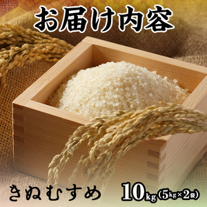 ＜先行予約受付中！2025年10月中旬～2026年8月下旬発送予定＞＜数量限定＞令和7年産新米鳥取県産きぬむすめ(10kg) 国産 米 お米 おこめ 白米 精米 おにぎり おむすび ごはん お弁当 常
