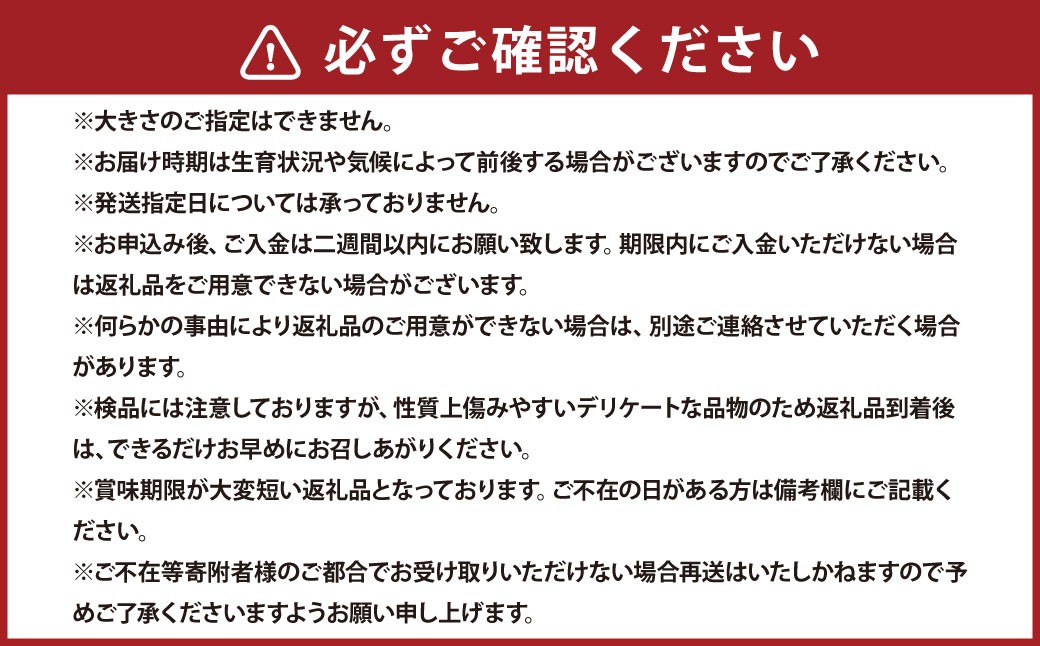 浦臼産 にんにく 約2kg 
