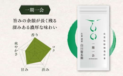 三茶葉味くらべセット 計3袋 / お茶 日本茶 嬉野茶 緑茶 / 佐賀県 / 白川製茶園 [41AIAB003]