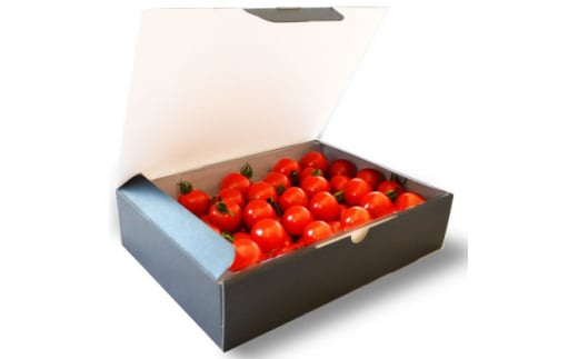 栃纏丸(とまとまる)1kg【1392799】