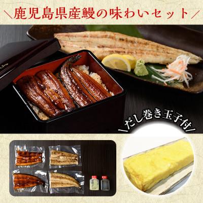 ふるさと納税 日置市 うなぎの炭火蒲焼(1尾・タレ付)うなぎ炭火白焼き(1尾・生わさび付)の計2尾!自慢の出汁巻き卵付き!
