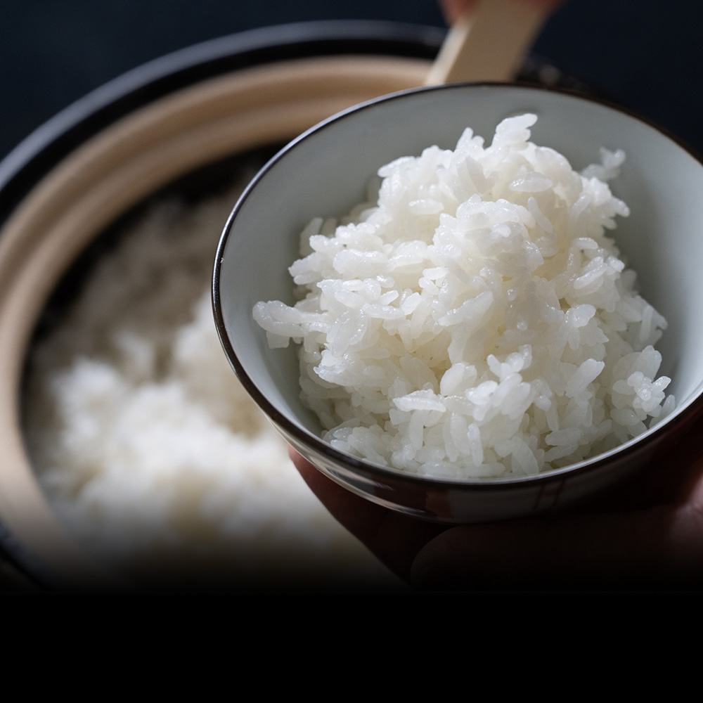 因幡の白兎米 コシヒカリ 令和7年産 精米済 10kg（5kg×2袋）