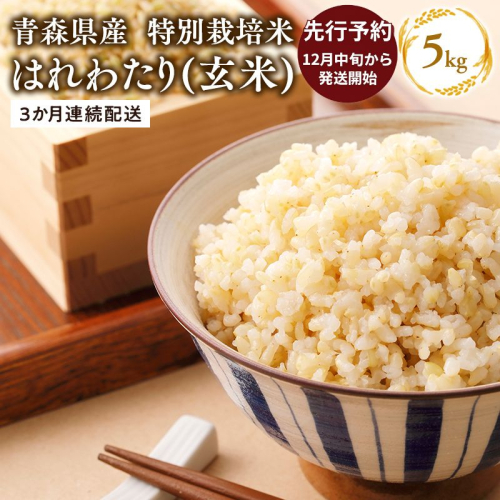 【令和8年産 先行予約   配送時期：2026年12月中旬～】　【3ヶ月連続お届け】特別栽培米 はれわたり玄米5kg×3回