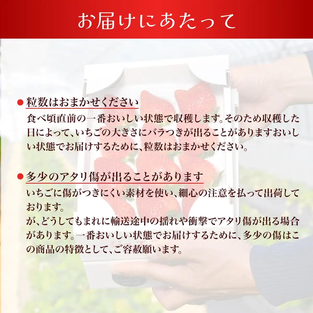 【先行予約】【1月下旬から発送】赤い宝石 おなぎ苺園のジュエルベリー 完熟いちご とちおとめ 約500g SMCO001