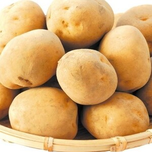 十勝の秋の味覚野菜詰め合わせ（南瓜・玉ねぎ・じゃがいも）セット【2026年秋出荷】（先行受付）】【工房みみずく】