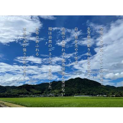 ふるさと納税 朝倉市 【栽培期間中　農薬・化学肥料不使用/特別栽培米/風味密封包装】兵四郎米(玄米)5kg |  | 01