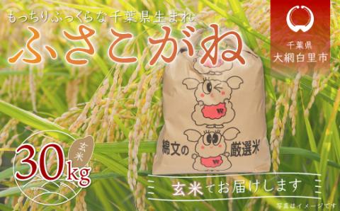 【新米先行受付】令和6年産 千葉県産「ふさこがね」玄米30kg（30kg×1袋） A013