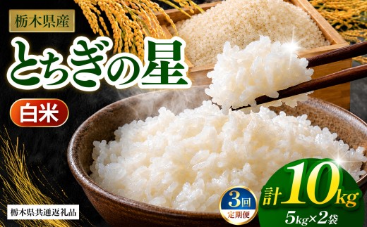 【先行予約】【定期3回】とちぎの星（白米）約 10kg 栃木県共通返礼品｜とちぎの星 米 白米 おいしい お米 こめ おこめ 白米 精米 国産 ごはん ご飯 白飯 米 おこめ 白米 精米ゴハン ランキング 人気  ふるさと 納税 栃木県 那珂川町 送料無料