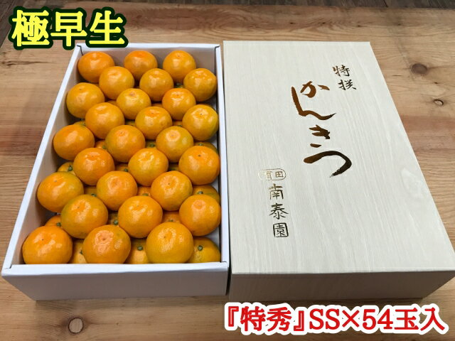 【ふるさと納税】極早生 有田みかん 化粧箱 約3kg『特秀』SSサイズ54玉入【ミカン 蜜柑 柑橘 温州みかん 和歌山 有田】