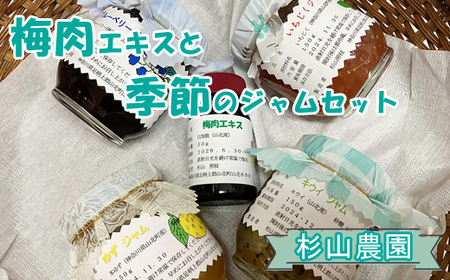 杉山農園 Ａ 梅肉エキスと季節のジャムセット